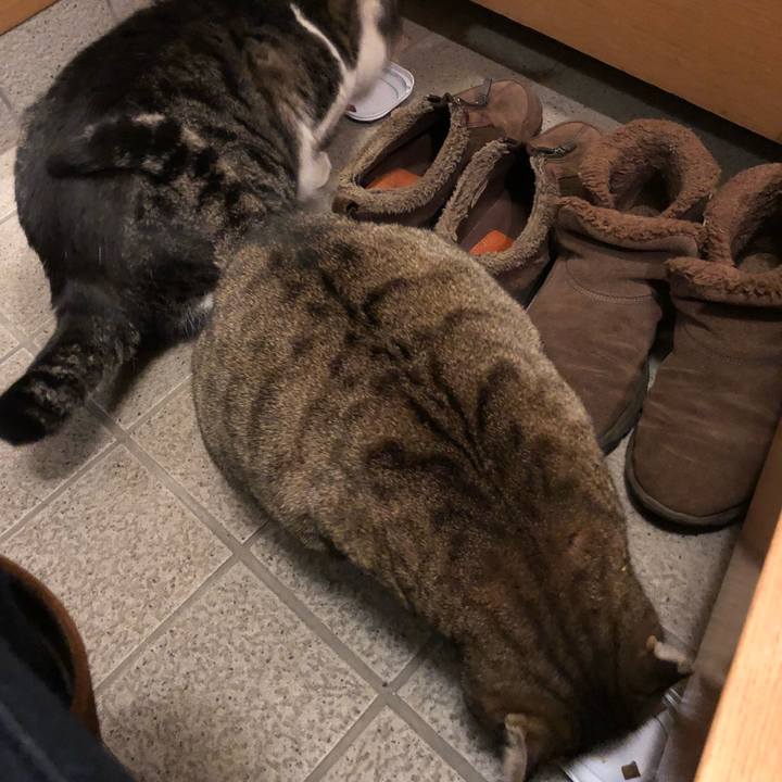 6163199c 5704 47fe 9151 1e87097e5884 1513745627245