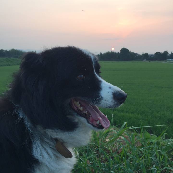 61636588 571e 4bad 83ac f9f7bbef920b 1533329730285