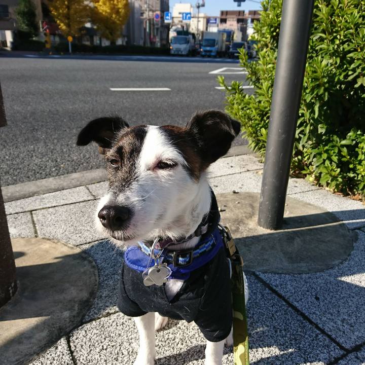 61636df1 78f8 4ccd b45f 72aac256c5a7 1511916976408