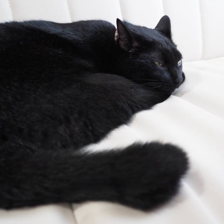 61637dc5 439c 4b05 b096 be670b26e928 1536192929472