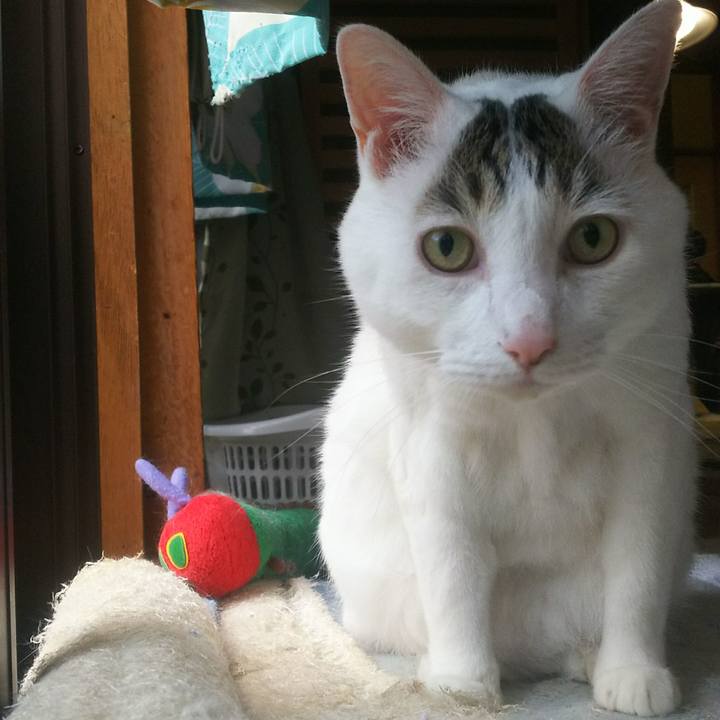 6163d6aa 1b60 4aca 8352 a7a60641d4fb 1531885780656