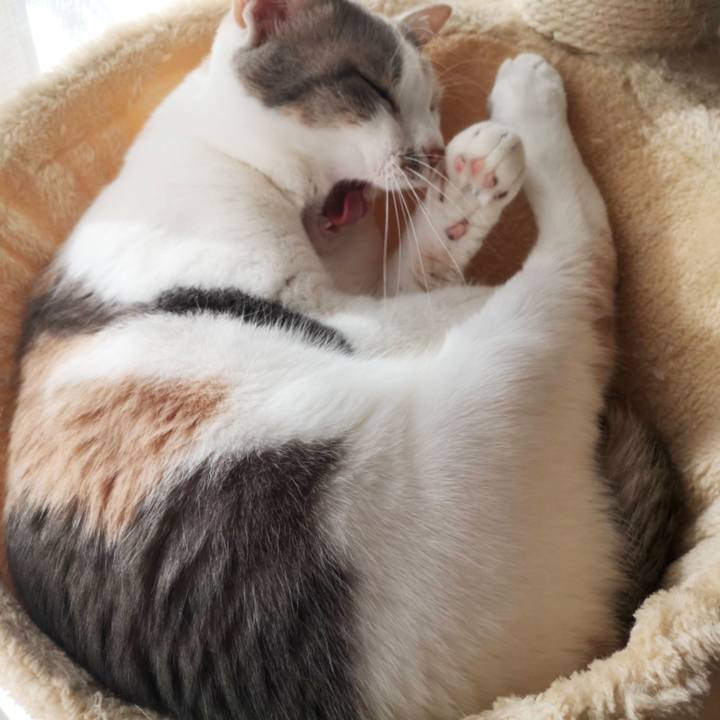 6164189a 0851 4711 a6c7 2b42431142a9 1612660762617