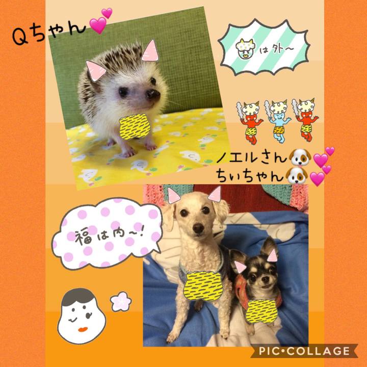 61642e45 ba6a 4423 ae25 12721ad18f7c 1549205369557