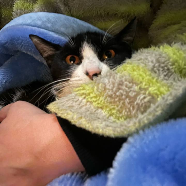 616468ad 23c4 492c 96b6 564e1d81719f 1677069437645