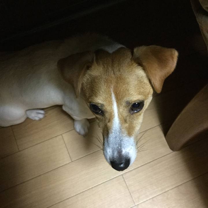 616474dc c3b0 4037 b0fe 4cd075e15e80 1529550592701