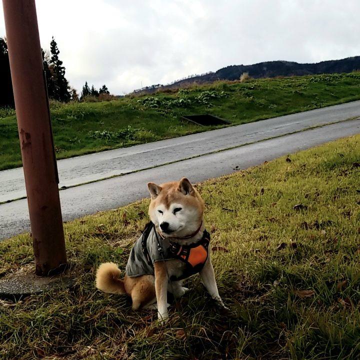 6164836f 015c 47cc 9f7b 1660b4e7a169 1732938274400