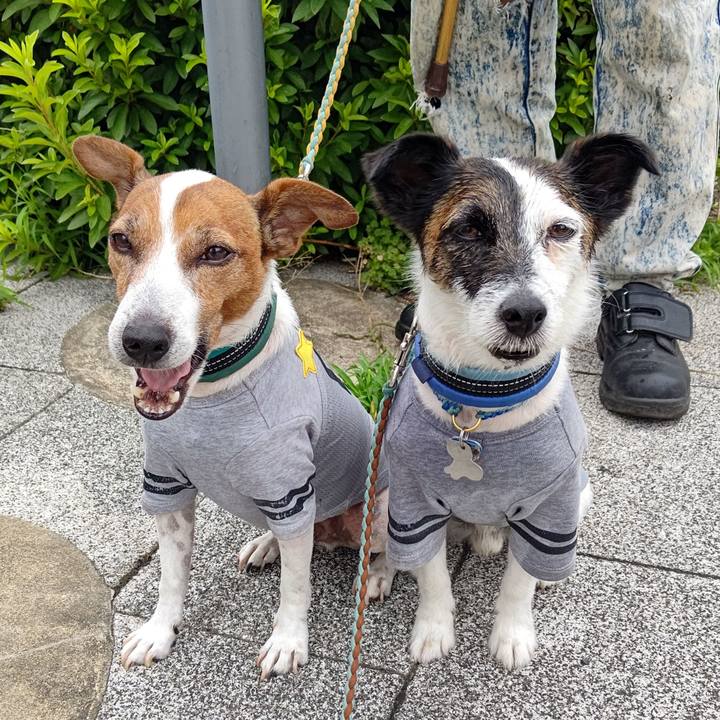 616490d7 0a6b 419e a017 f1af95600cd4 1719958336717