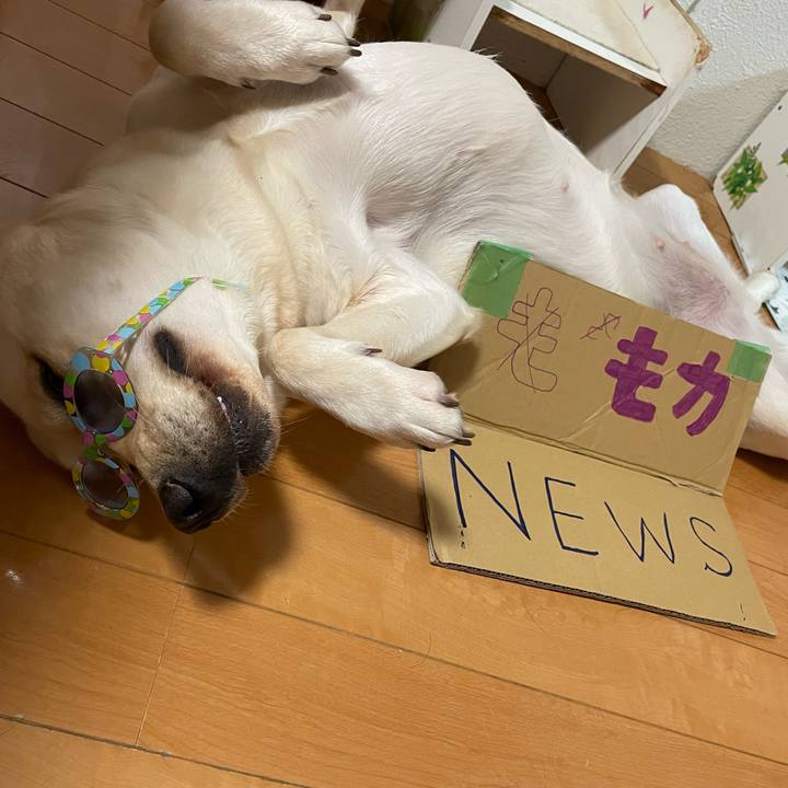 61649641 7cca 4023 b54f 0d0234e32df0 1654607156935