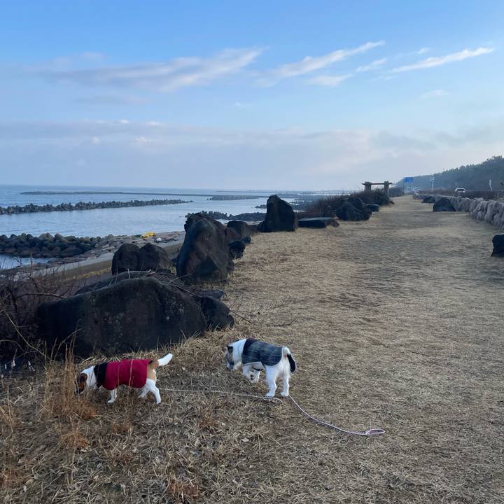 6164a3ae 2538 4910 980d 6f3e178e2088 1644537426788