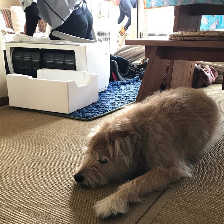 6164b52f 5359 4577 bb5e 135b300d696b 1562057561701