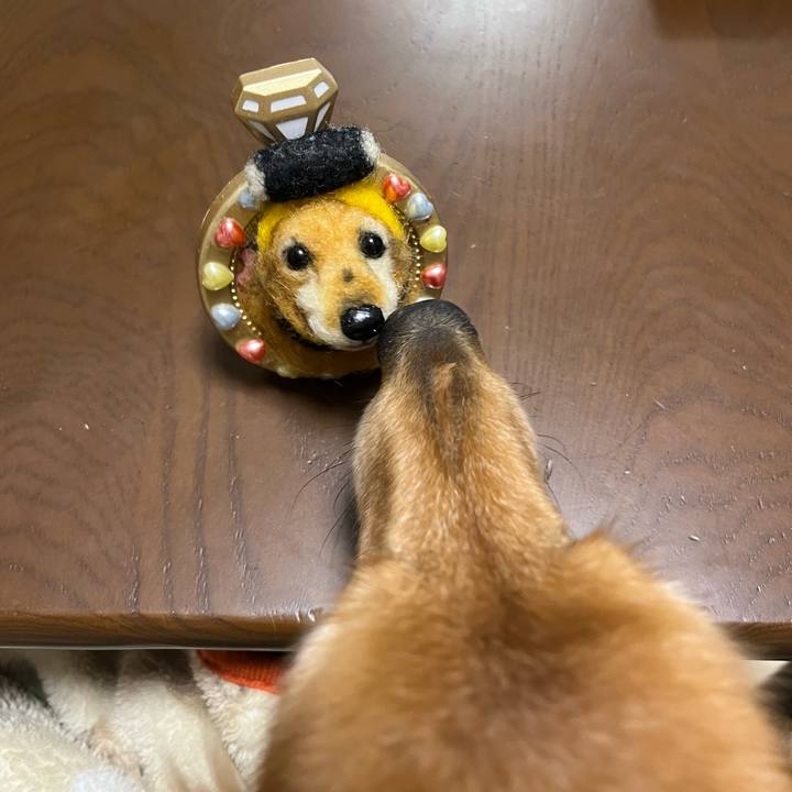 6164da4b deb2 41bc 9ab5 0fdd0f6acd90 1675948570660