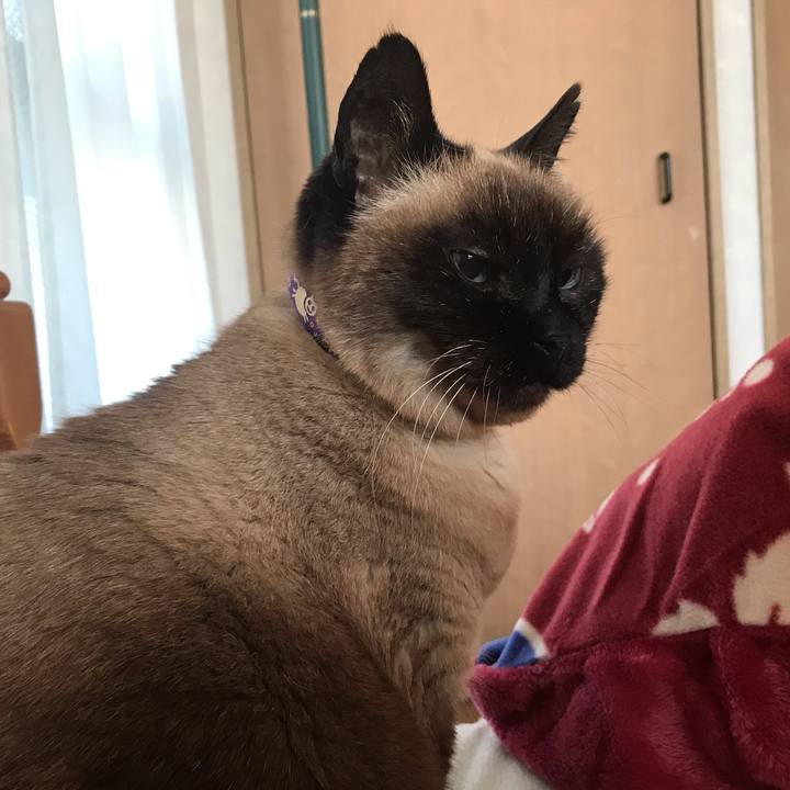 6164fd2f bf72 48e3 bfef 9ec90e5cc348 1555280023875