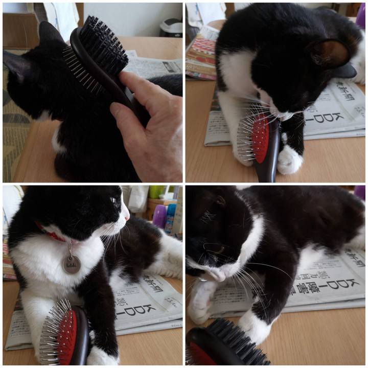 6165128e 0303 4038 ae02 f20cc3b104a5 1657249848626