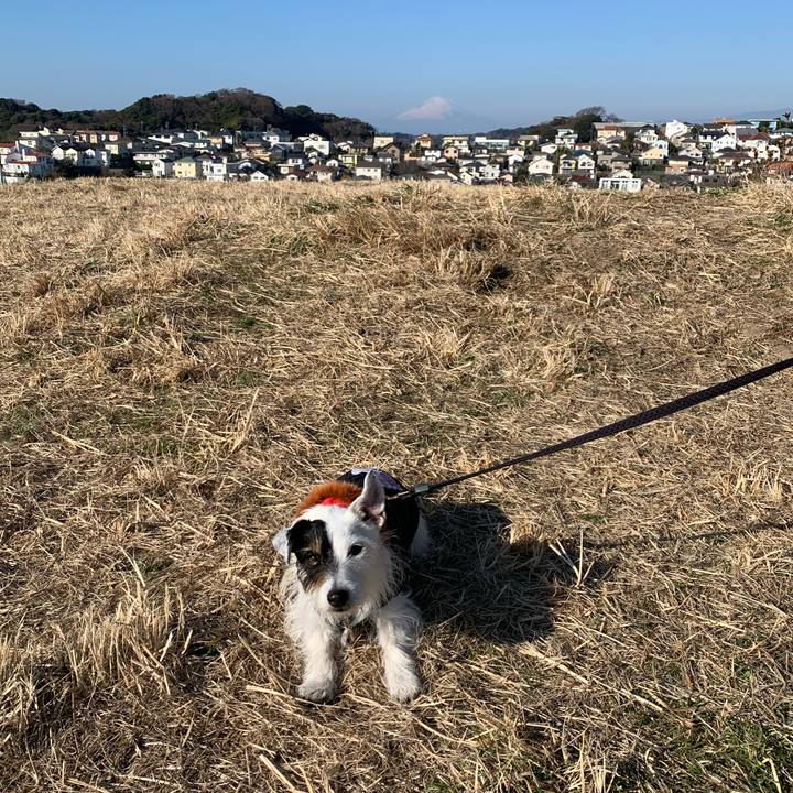 6165247c 3b8c 4f8b b485 e84f168d7b76 1673230041182