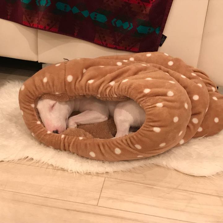 61655b4c 13e4 4df3 9578 1bc5b7b9519e 1510479225108