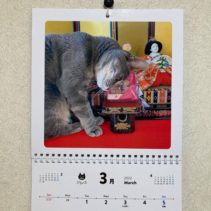 61655fa8 44fd 4477 9e9d 2985e857e3a7 1646094447219