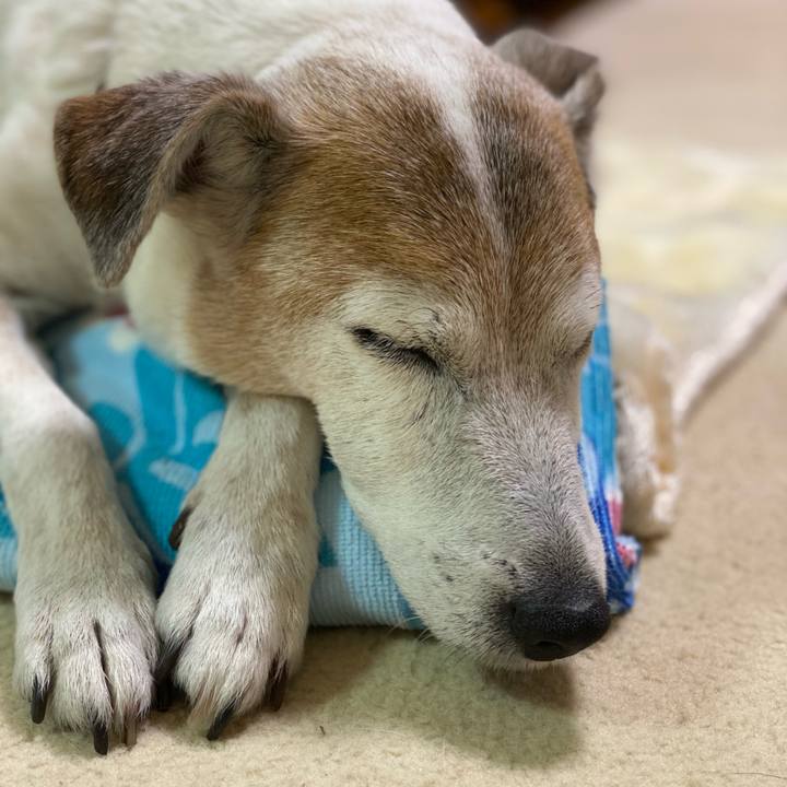 6165b3da ec0a 4380 8e8a 192203a9dede 1622327891949