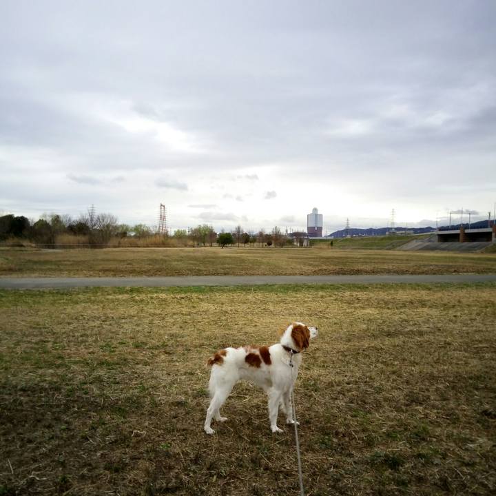 6165d08e f9c6 4299 a3cb 8b753d00245d 1520466926801