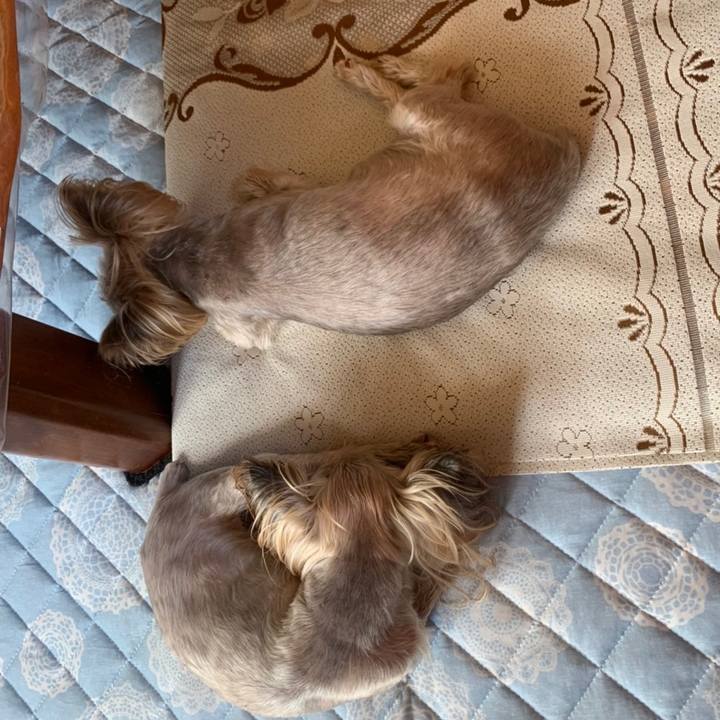 6165f654 f6f9 441b 8e3e 44f77c6a7a41 1656149950779