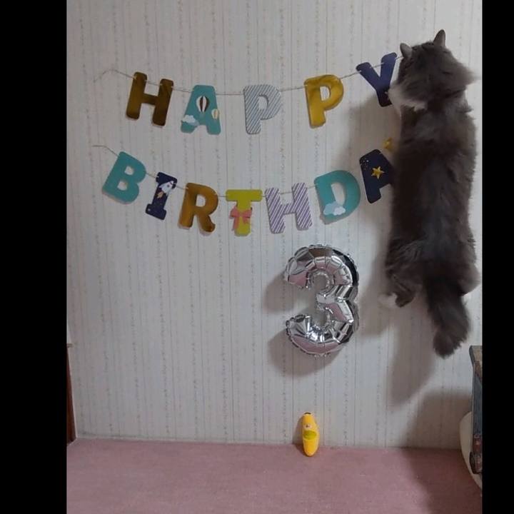 6165fb6b 003f 4d5c 8172 a047e84abdf9 1651353992101