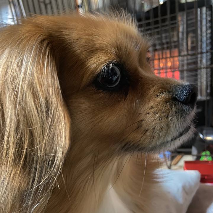 6165febe 3ec6 4339 8044 c820f0df7dc8 1641505516513