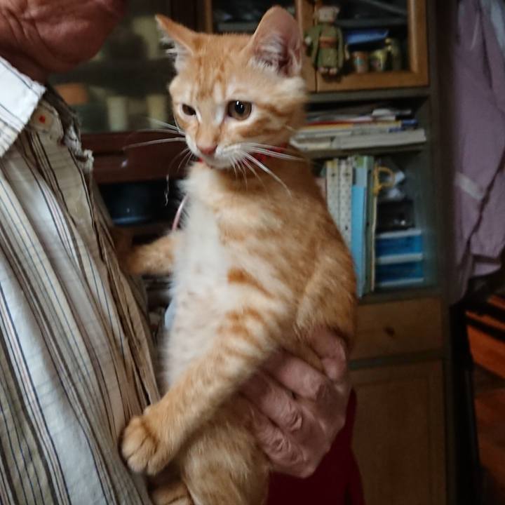 61663952 be1f 42a5 8eef 52efec6fa0d7 1631964912120