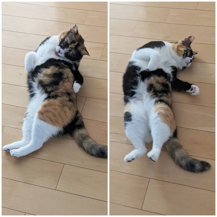 61663c67 4955 4b09 b910 7e57850329da 1701056860489