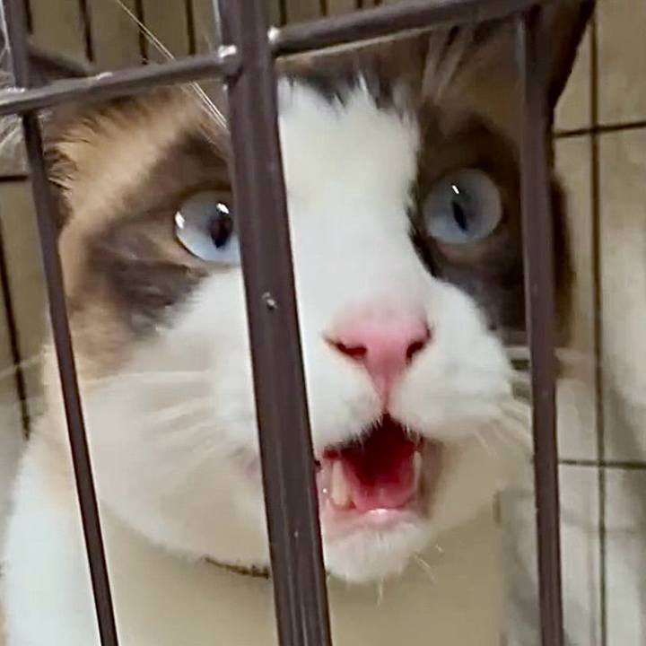 6166560c 6d39 484b b766 f091593d43cb 1754992073205