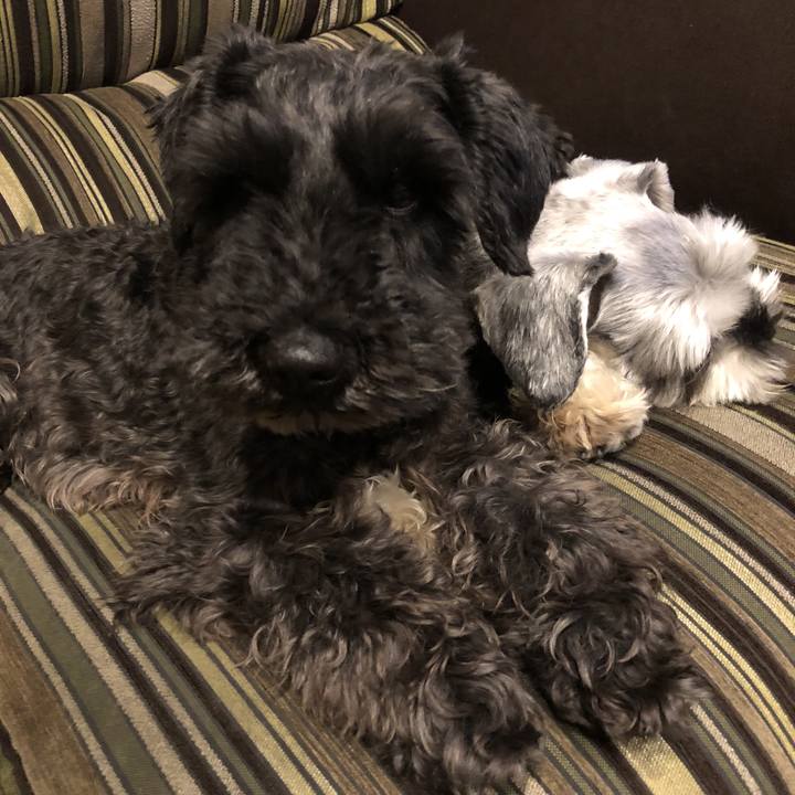 61665845 3513 449d a2b9 8d1b95d7834c 1526806827914