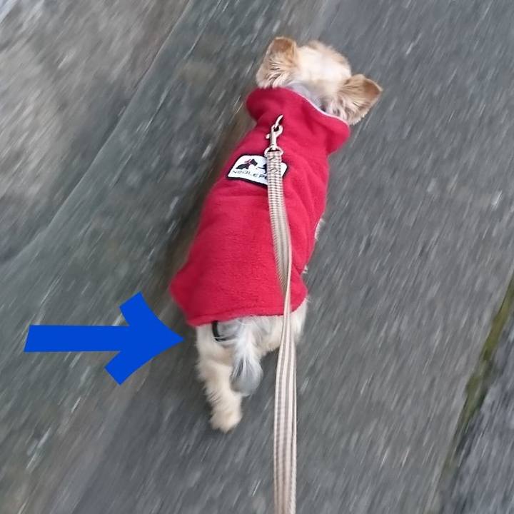 61669616 a0d2 4dd8 94c3 25334f4b42c1 1547974576202