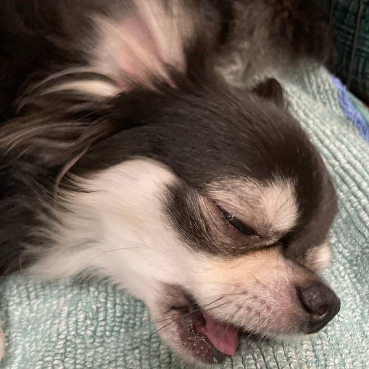 6166a5b3 403c 4c23 a6fe e5c680cc0a3a 1663508007465