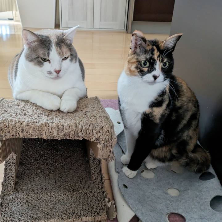 6166b447 4482 4182 9f26 e9356fe738ef 1706155314929