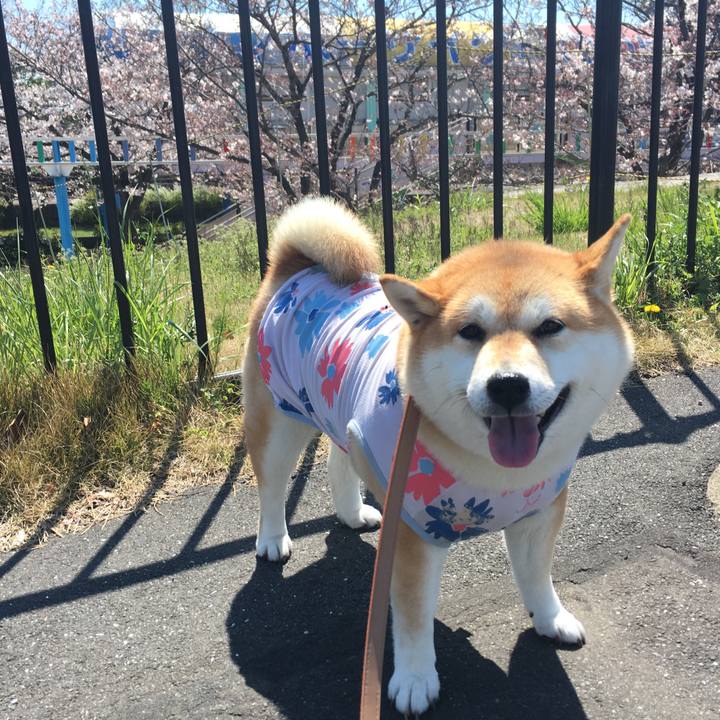 6166dc42 7395 4abd b53c 31b64b4796d2 1554176618737