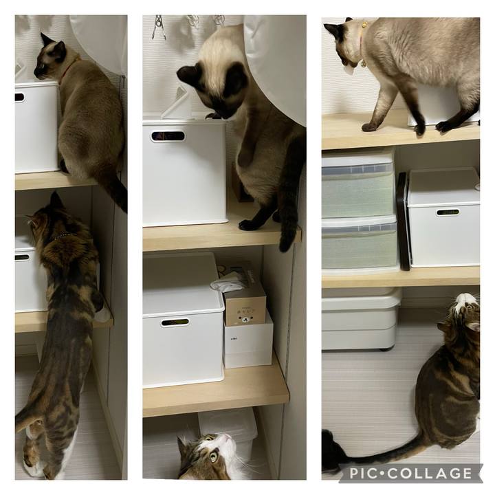 61671142 030d 404d a59b ca8459a56fba 1721000932503