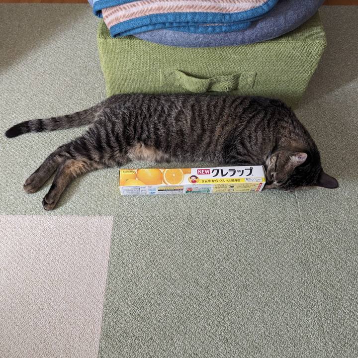 61673260 0a94 4020 97e8 acb2b22273da 1718599400334