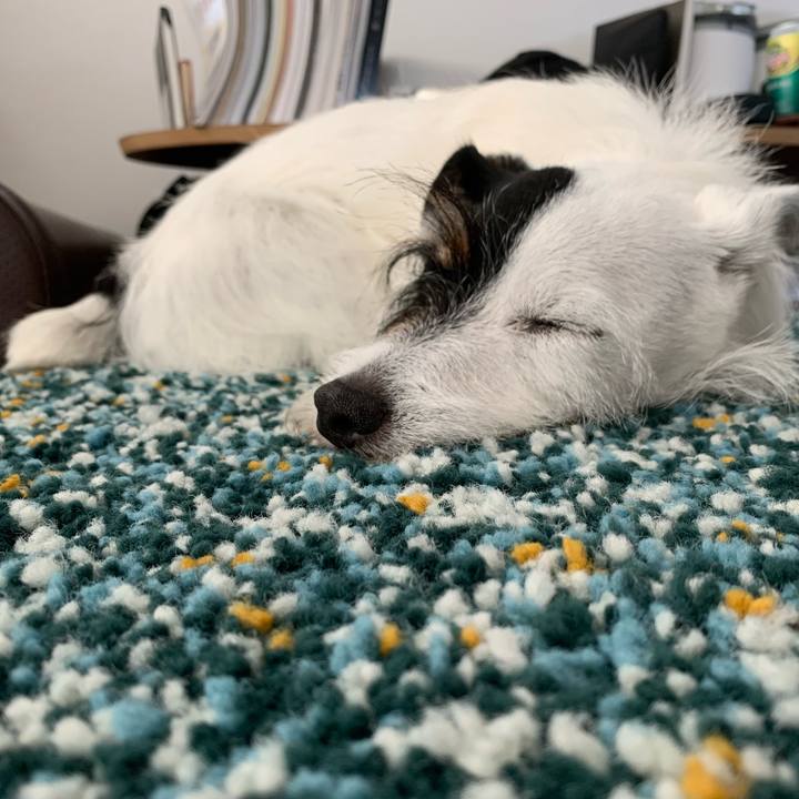 6167aa22 190b 4cc1 b360 604c75073232 1657516722535