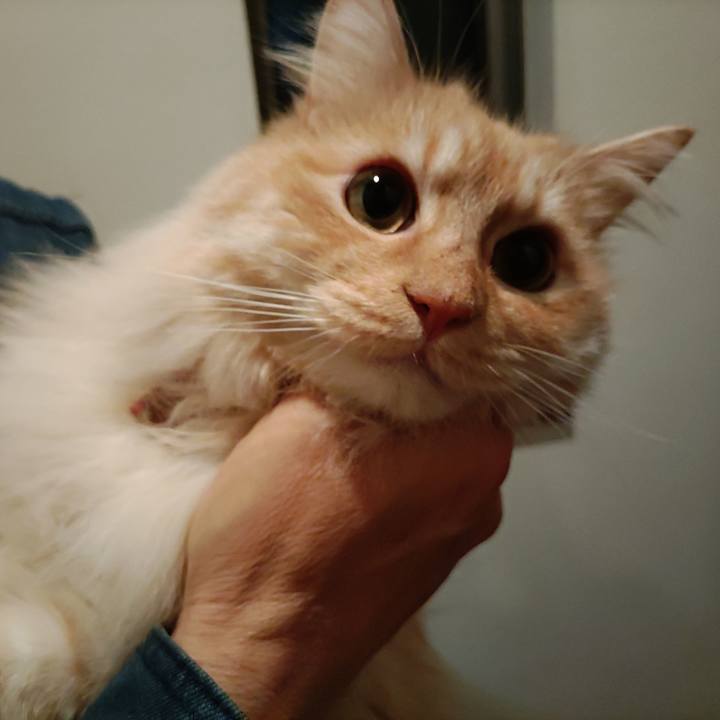 6167c7f4 9ca4 41bc a0d7 ba04f7571b98 1714567758025