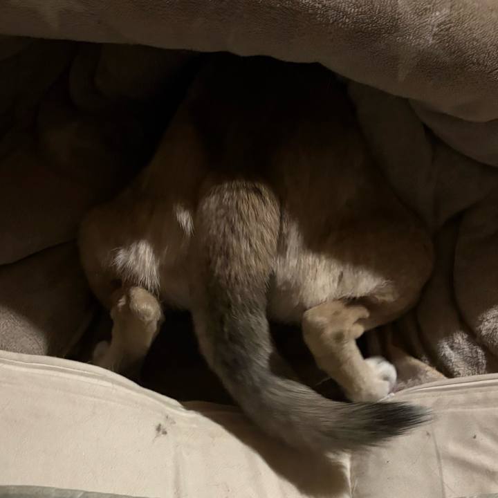 6167c920 6d5e 47b2 822f 8d37dbb1e158 1741614413397