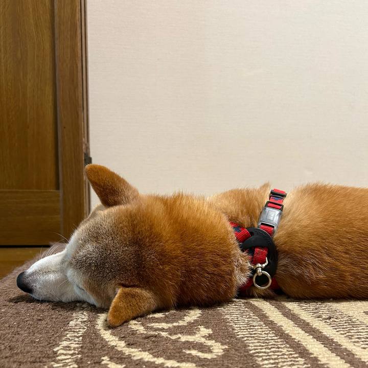 6167cdd0 2720 4557 a39a 4f906a7f756c 1756897736620