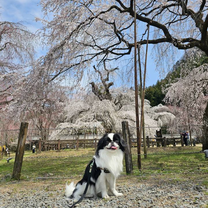 6167f177 196c 424b 8bc8 f29aa31824cd 1712032311297