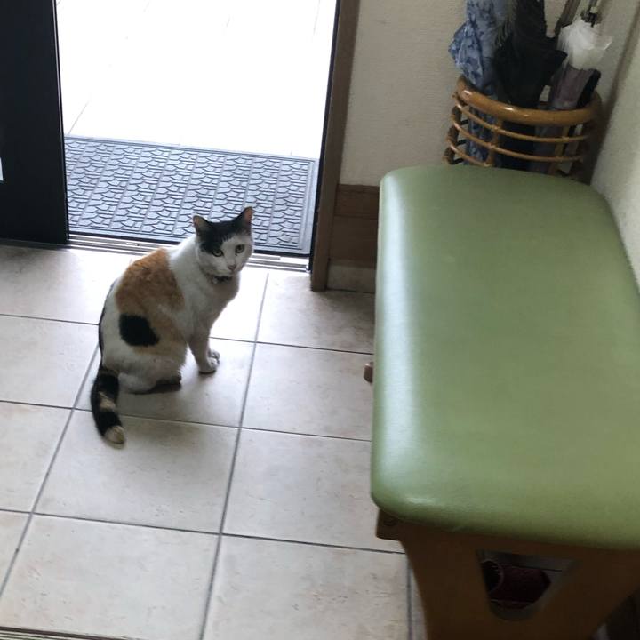 61683fc7 651e 473d 801d 394db936e313 1619562128122