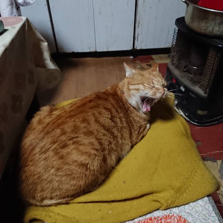 61684b55 ad50 42b7 9265 f1d1ce3f6228 1571259907302