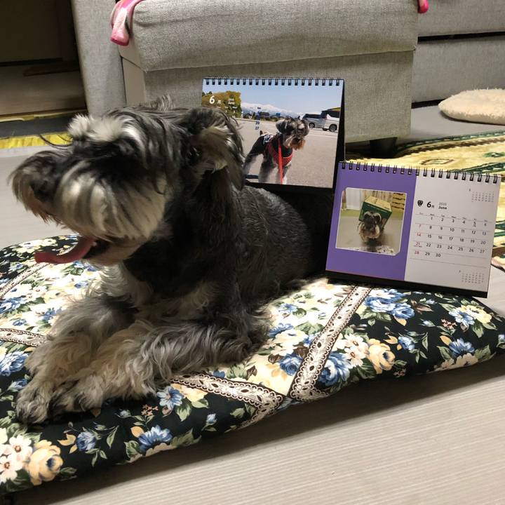 61684b69 9ad5 4179 aedf 27fb156cddb7 1591190575407