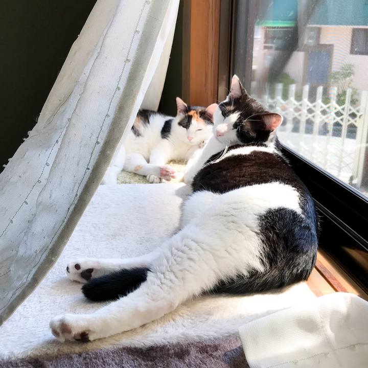 61686033 743c 4231 8718 f41393ce8043 1525051108483