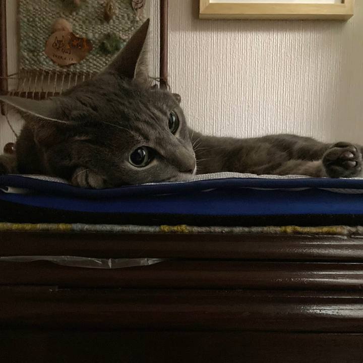 6168647d 3688 47a2 ad76 fde48e2ba3f3 1721490806120