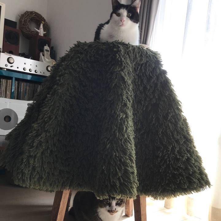 61686ef3 7e70 4da7 bd10 cf3d9ef19c07 1524364273034