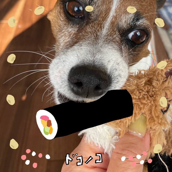 616911de f10c 4dca bf91 9546e24ef93f 1741079833557