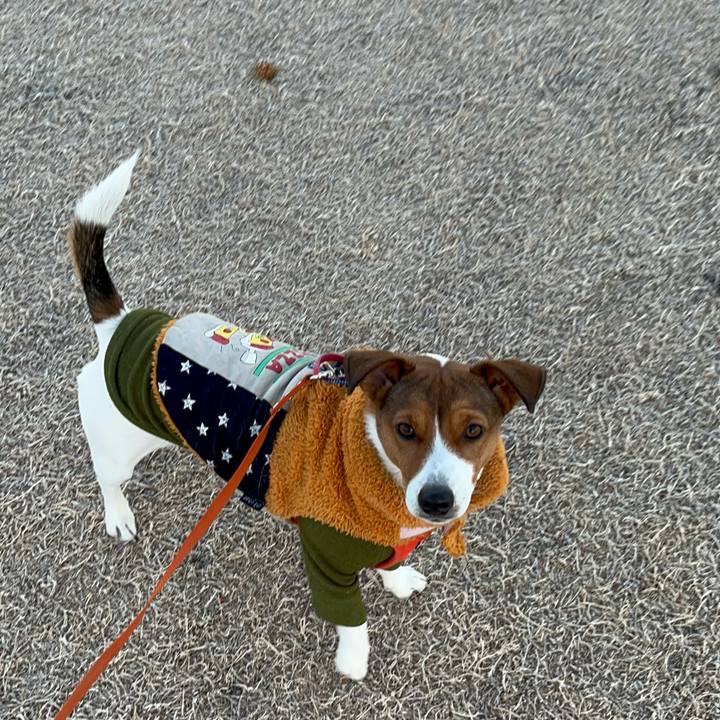 61692724 1d1c 46e3 a7e9 e972fd67753c 1736764750958