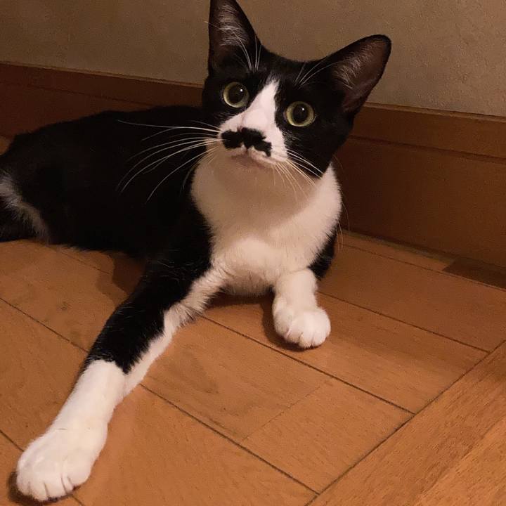 61696a5f 3ceb 4c1d 8897 19de7d18ac39 1693803048778