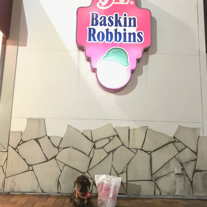 6169b600 8d82 4a2f 87ea 8ff538528f33 1535723974498